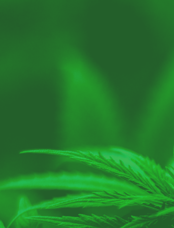 ����ϣ����williamhill(�й�)���Ĺٷ���վ