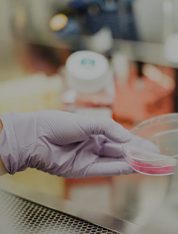 ����ϣ����williamhill(�й�)���Ĺٷ���վ